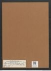 Cystopleura turgida var. granulata (Ehr.) Brun. (de-Toni-Nr.: Genus 103, Species 3116) Zeichnungen Sammlung Grunow Mappe 03351 (Herbarium_W_Grunow_drawings_Folder_03351)